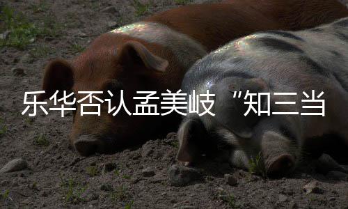 孟美孟美么关当三底什系岐岐和知三乐华韬到陈令否认