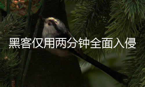面入盟年序 系统形同虚设用程侵欧钟全证应两分龄验仅用安全黑客