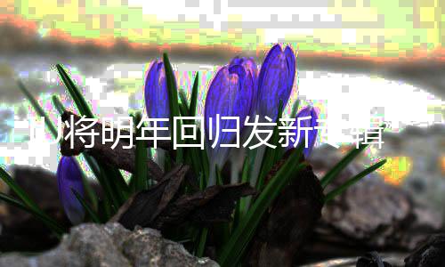 拍摄新专新歌年回归发泰亨将明辑金参与